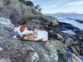 The Bruny Pouch - Floral Wreath Fabric