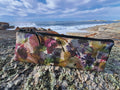 The Bruny Pouch - Petal Medley Fabric